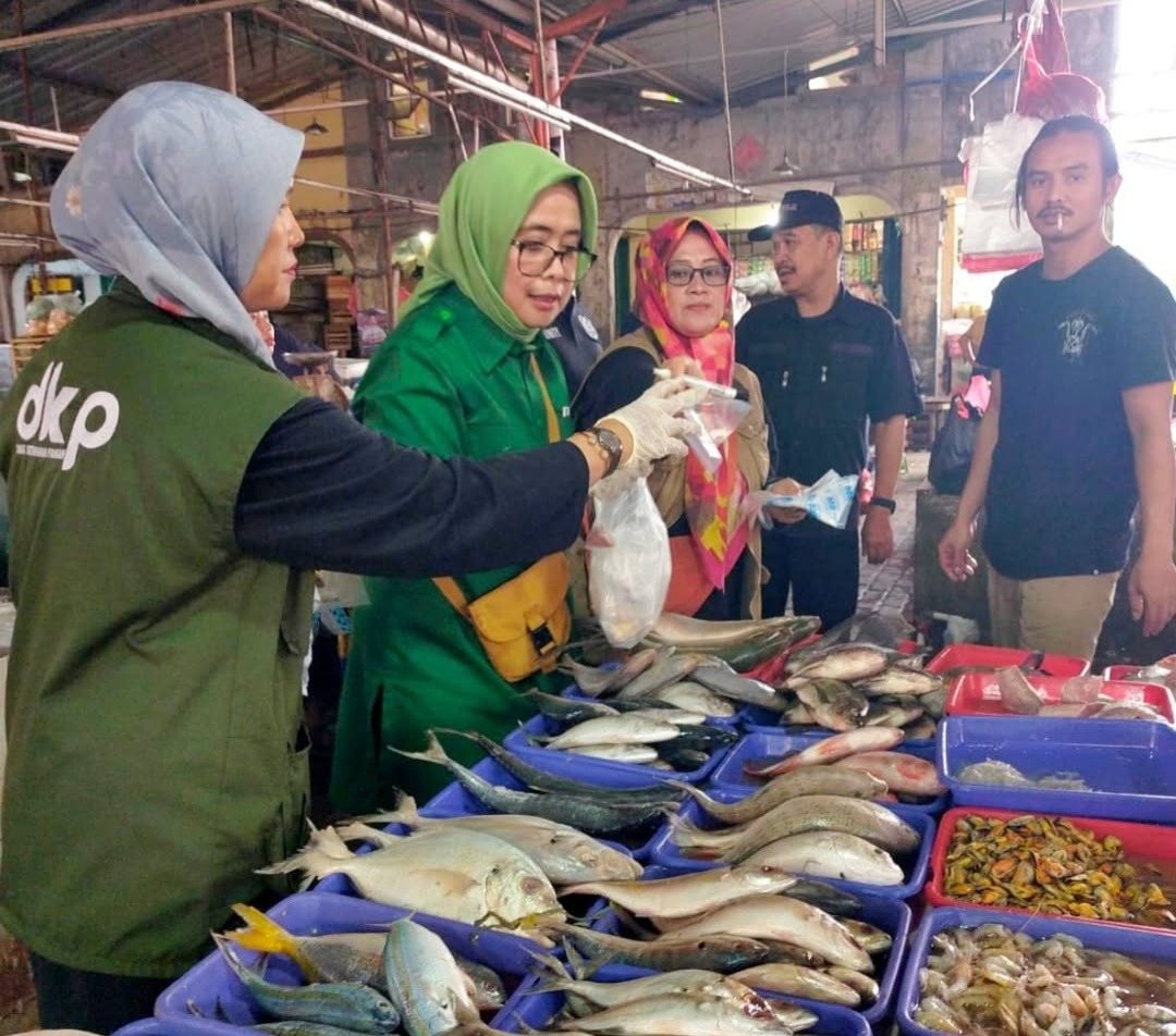 berita
